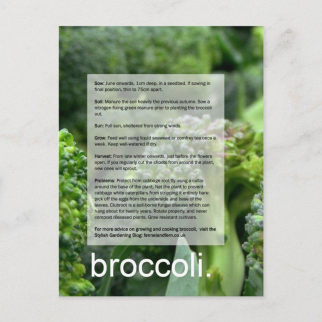 Bra Growing Guide: Broccoli och radishes Vykort (Framsida)