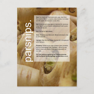 Bra Growing Guide: Globe Artichokes & Parsnips Vykort