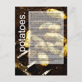 Bra Growing Guide: Potatis och morötter Vykort