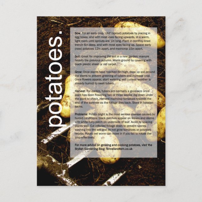 Bra Growing Guide: Potatis och morötter Vykort (Framsida)