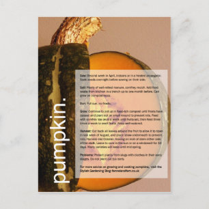 Bra Growing Guide: Pumpkin & Chard Vykort