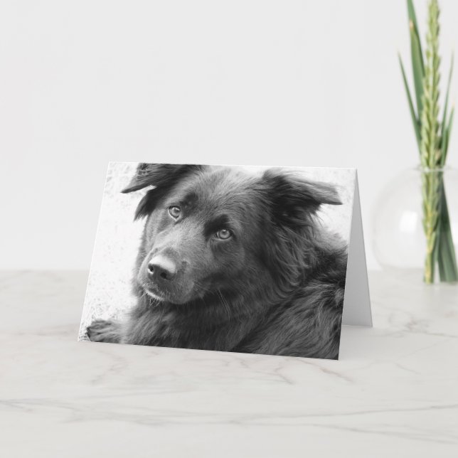 Bra Heal Kort (Framsida)