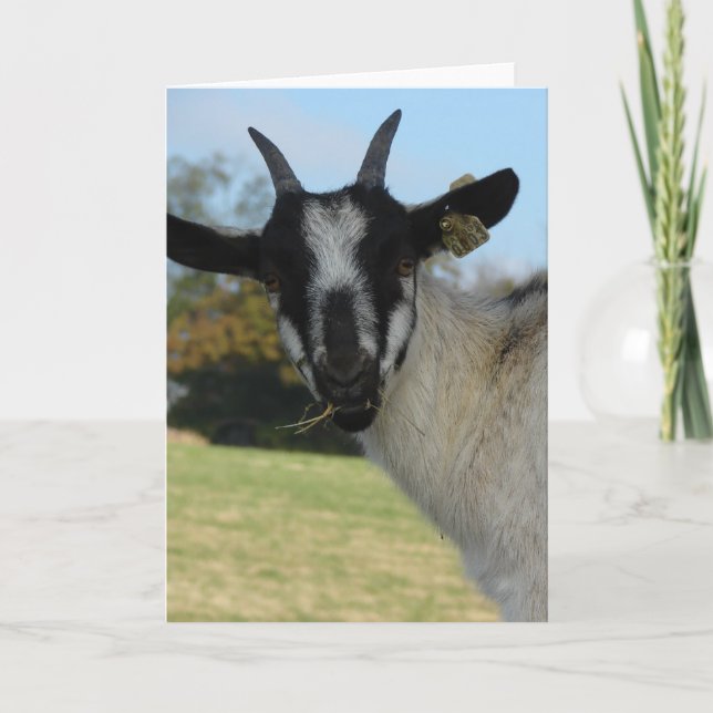 Bra Hej där Kort (Framsida)