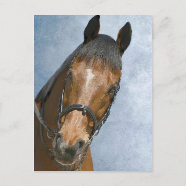 Bra Hej där Vykort (Framsida)