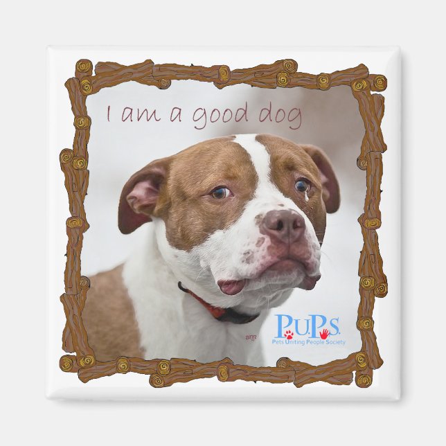 Bra Hund Pit Bull Räddning Magnet (Framsidan)