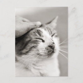 Bra kattunge! -Vykort Vykort