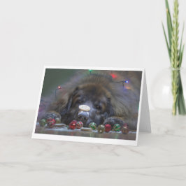Bra Leonberger julkort Helgkort