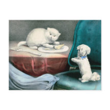 Bra Little Fido and naughty Kittie, 1893