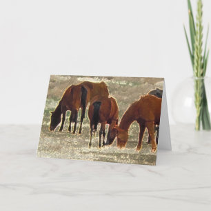 Bra Lord's Remuda Herd in Heaven Sympathy Kort