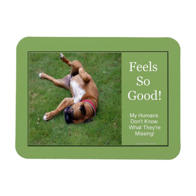 Bra magnet för känselförnimmelser så (Horisontell)