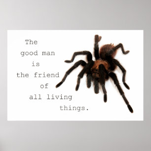 Bra Man Poster