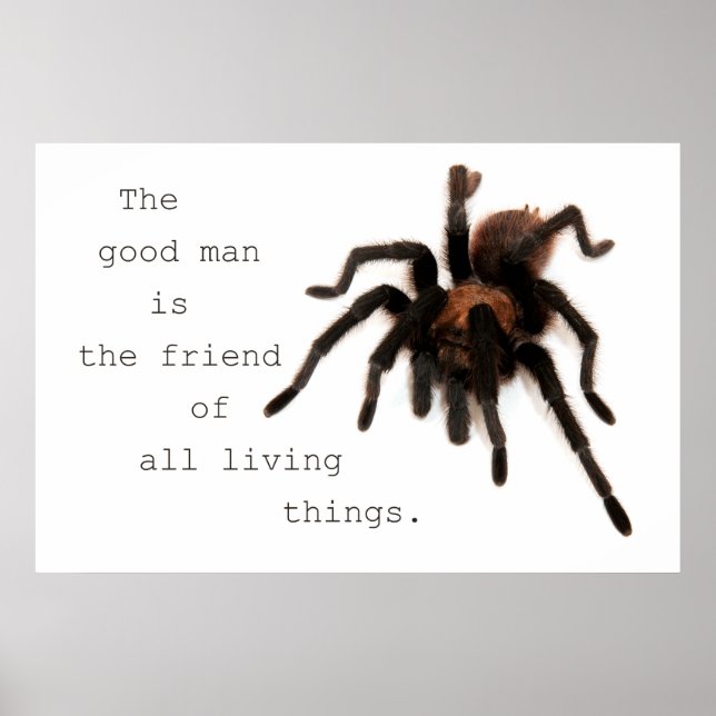 Bra Man Poster (Framsidan)