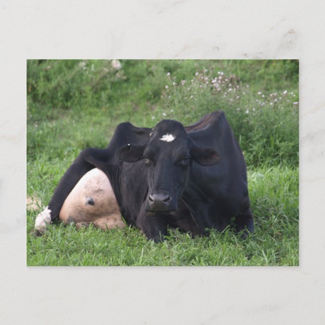 Bra Moarning WI Vykort (Framsida)