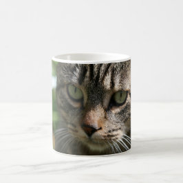 Bra Morgon Cat Mugg