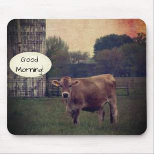 Bra Morgon från din lokala Jersey Cow Farm Musmatta