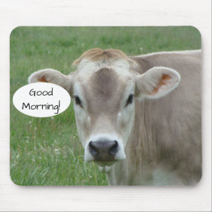 Bra Morgon från din lokala Jersey Cow Musmatta