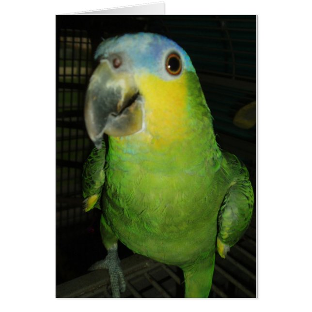 Bra morgon! hälsningskort (Framsidan)