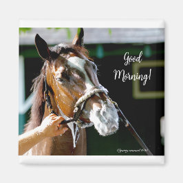 Bra Morgon! Häst Magnet