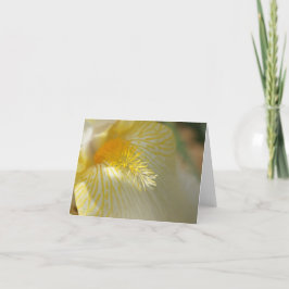 Bra morgon Iris! Kort