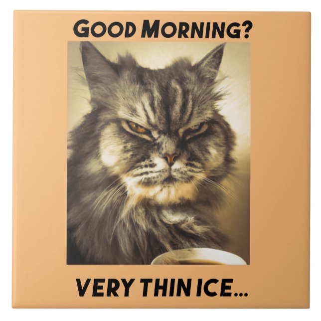 Bra morgon! Mycket tunn is. Katt med ironisk berör Kakelplatta (Framsidan)