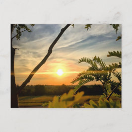 Bra morgon, Oklahoma Vykort