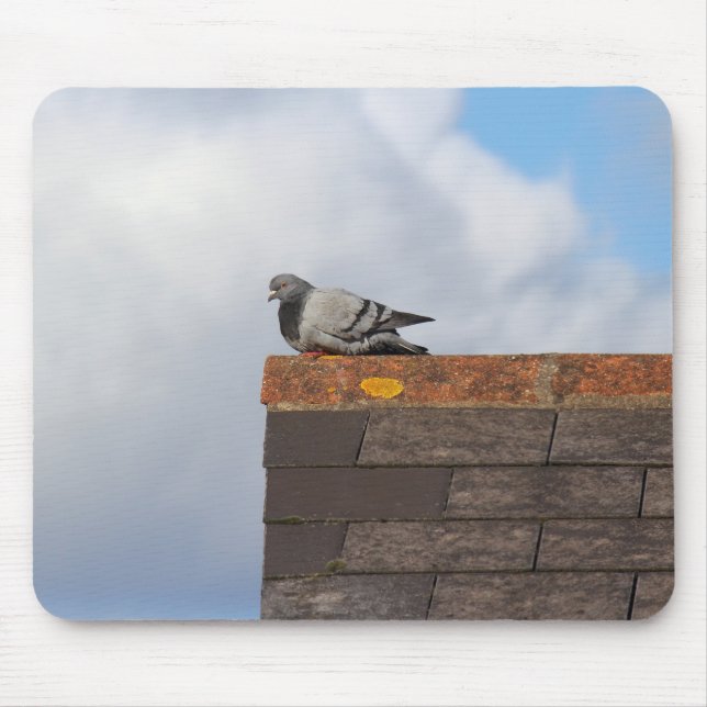 Bra Morgon Pigeon Musmatta (Framsidan)
