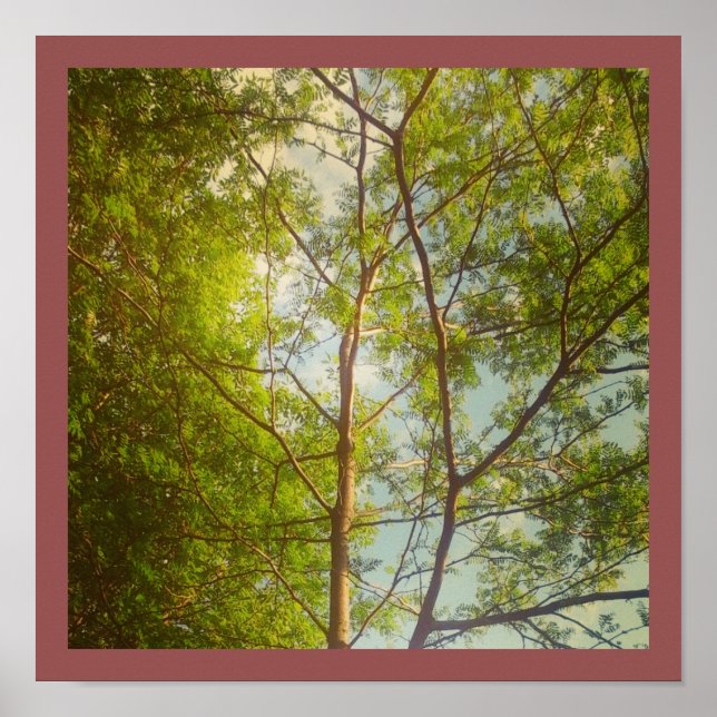 Bra Morgon Poster (Framsidan)