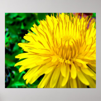 Bra Morgon Sunshine Poster