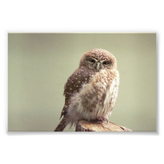 Bra Morgon till ditt foto