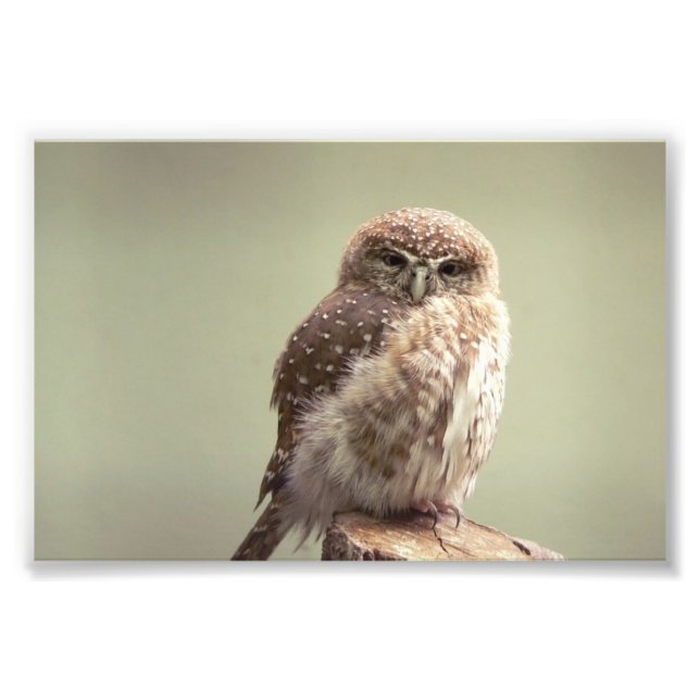 Bra Morgon till ditt foto (Framsidan)