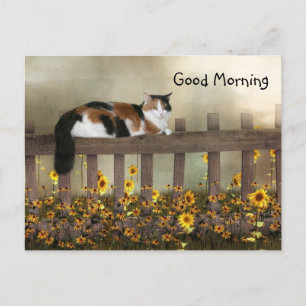 Bra morgonen calico kattunge vykort