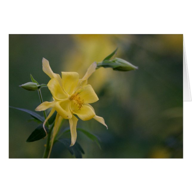 bra morgonens gult hälsningskort (Framsidan Horizontal)