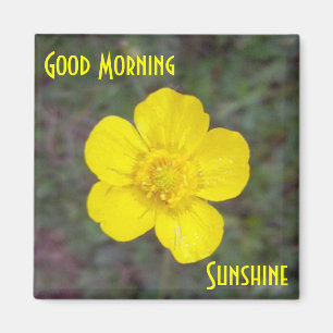 Bra morgonsolskenmagnet magnet