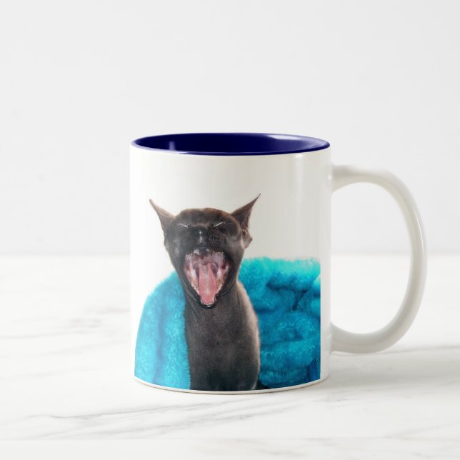 Bra morgonsolskenmugg Två-Tonad mugg (Höger)