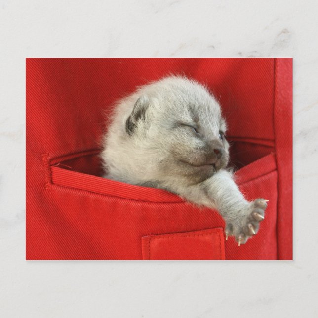 Bra morgonvärlden vykort (Framsida)