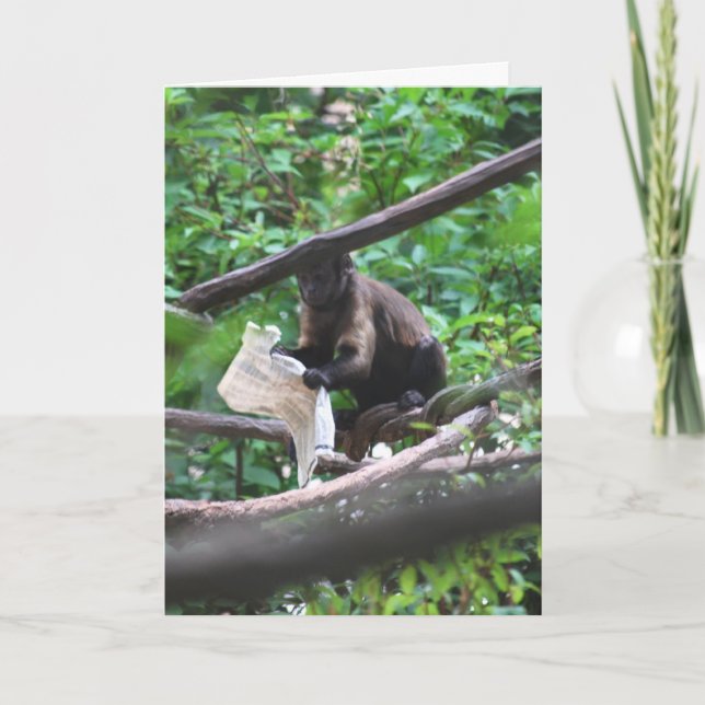 Bra News Monkey säger Grattisar Kort (Framsida)