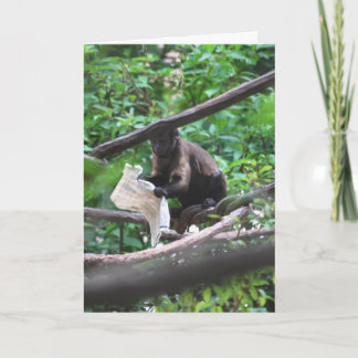 Bra News Monkey säger Grattisar Kort