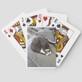 Bra Night Herr Casinokort