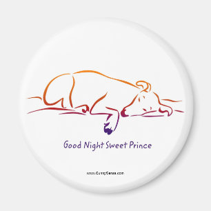 Bra Night Sweet Prince magnet