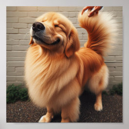 Bra pojk - guldkyrkoherde poster