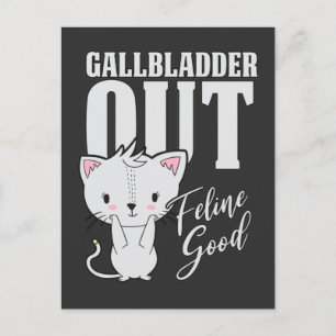 Bra Recovery Cat Lover för gallblåsans Kattdjur Vykort
