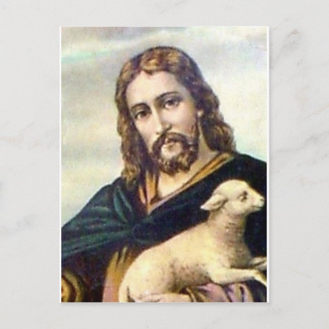 BRA SHEPHERD C. 1900 VYKORT (Framsida)