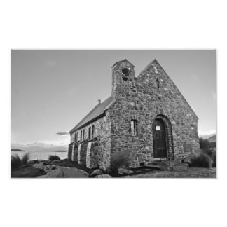 bra shepherd, ny zealand fototryck