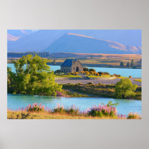 Bra Shepherd-Sjö Tekapo Poster
