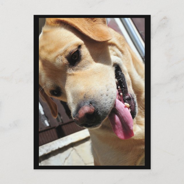 Bra skämt! vykort (Framsida)