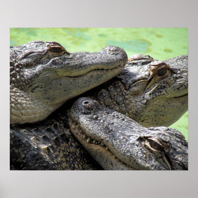 Bra Times Poster (Framsidan)