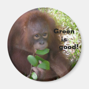 Bra Veggie bantar Magnet