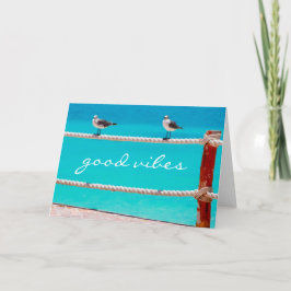 Bra vibes citera fiskmåsarna strandfåglar, havsfot kort