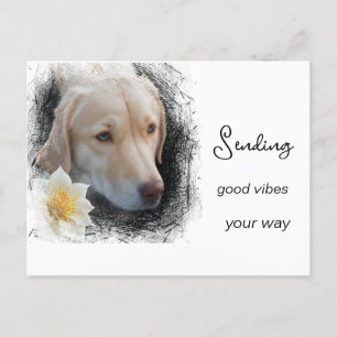 *~ Bra Vibrationer Sorglig Guld Hund Blomma AP61 Vykort