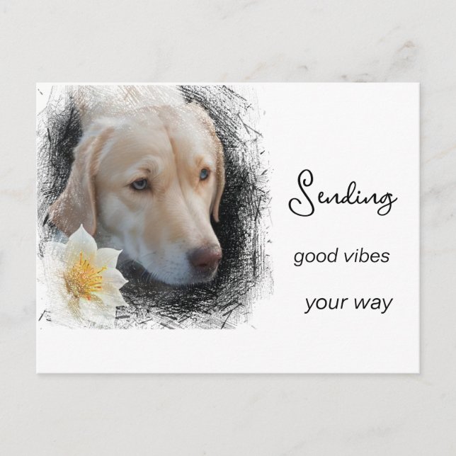 *~ Bra Vibrationer Sorglig Guld Hund Blomma AP61 Vykort (Framsida)